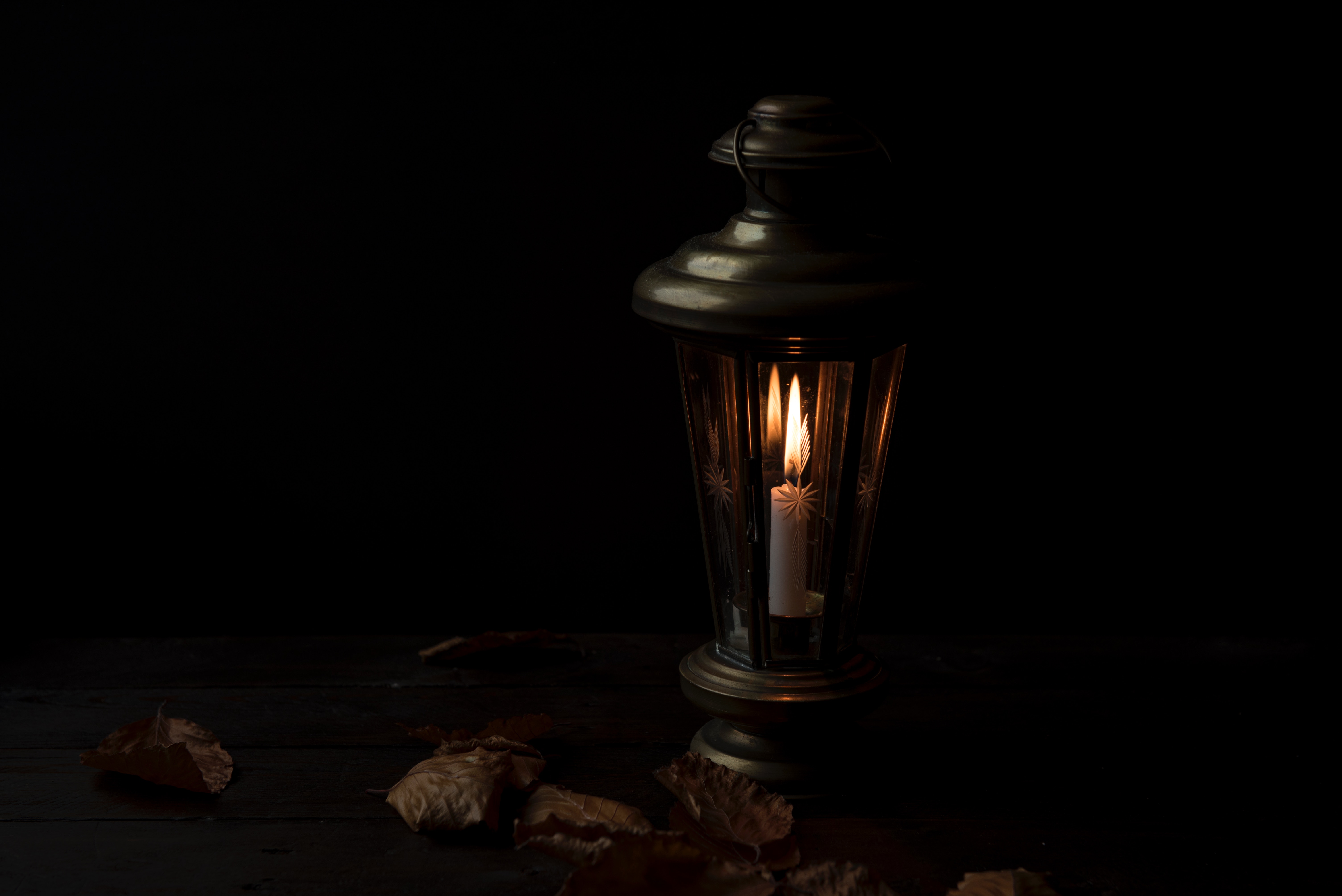 1lamplight:joanna-kosinska-392324-unsplash